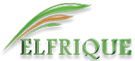 Elfrique logo
